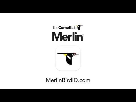 Merlin Bird ID--Free app from the Cornell Lab