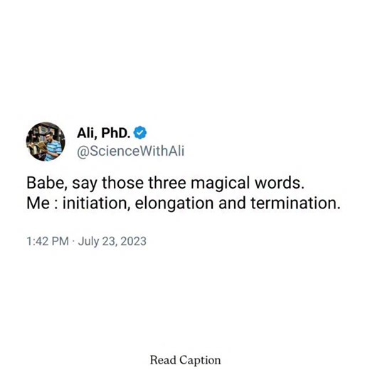 Ali -PhD || PU 🇮🇳 | Initiation, elongation, and termination are the three main stages of protein synthesis. During initiation, the small ribosomal subunit... | Instagram