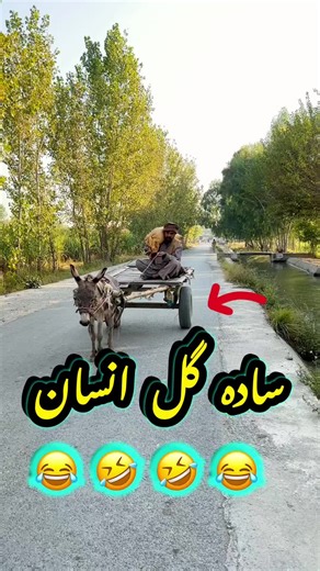 Pashto Funny Video 🤣😂 | Funny Video By BD Vines 2025 #bdvines #pashtomazhia #pashtofunnyvideo #afghanfunnyvideo #PashtoComedy