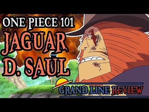 Jaguar D. Saul Explained (One Piece 101)
