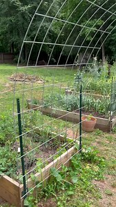 647K views · 5.7K reactions | My poor cattle panel trellises were coming loose and needed a reset… so I’m trying out these One Man Fencing T-Post Connectors. Let me show you how these work, and you can see a studier, reusable option for cattle panel installation in the garden. #onemanfencing #tposts #cattlepaneltrellis #garden #gardening #backyardgardening #gardentip #cattlepanelarch #cattlepanel | Lil Urban Farm | Facebook