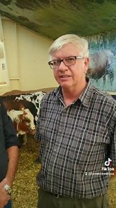 Nguni cattle represent one of the oldest indigenous breeds in Africa. Nico Harris, president of the Nguni Cattle Breeders' Society of SA, says that Nguni cattle face significant discrimination as feedlots do not like the breed . Watch the video to find out why. #FarmersWeeklySA | Farmer's Weekly SA