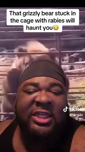 Funny Bears Doing Hilarious Things