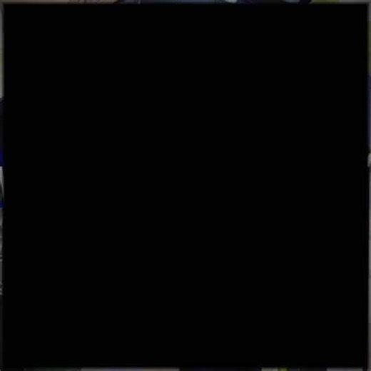 Let Love Blossom: A Romantic Plea for Togetherness