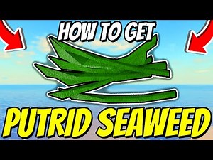 How To GET PUTRID SEAWEED In Fisch! Roblox