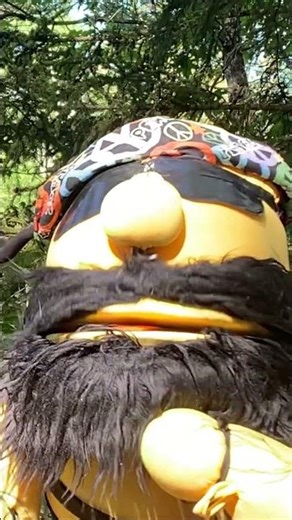 Hip Bee Weather Report #weather