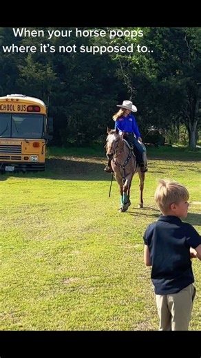 Horse poops #poop #horsegirl #barrelracer #horse #fyp #horsesoftiktok #yikes