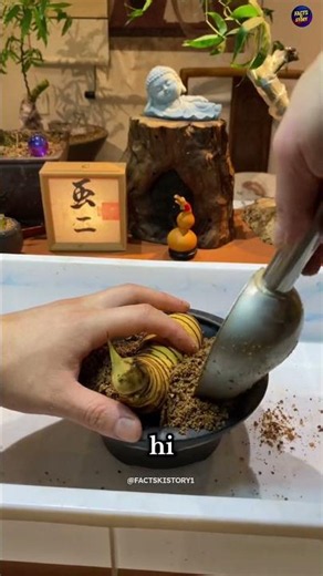 This Bamboo Root Secret Looks Like a Real Caterpillar 😳🌿