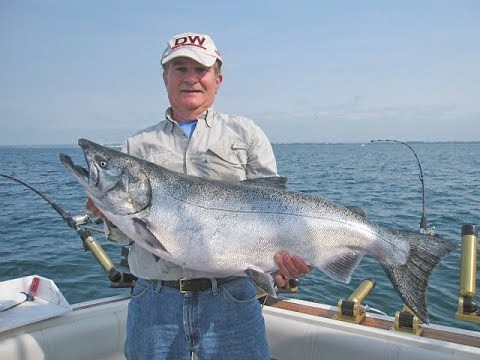 Dreamweaver Deeper Diver Settings