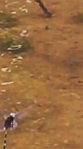 #creatorsearchinsights #natureclips #landscape #naturelovers #skyview #montage #natureaesthetic