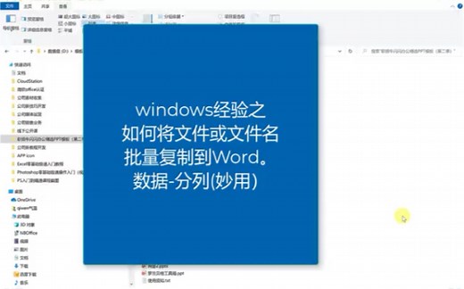 如何讲文件名批量复制到word？