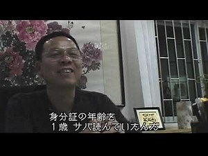 China Blue (2005) by Micha X. Peled - CN&JP sub