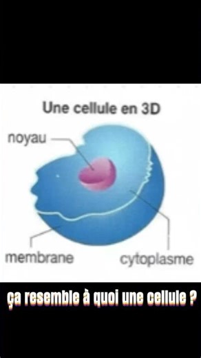 Mais alors ! ça ressemble à quoi une cellule ? #Shorts #science #space #information