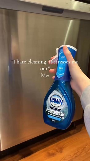 #cleaning #cleaningmotivation #funny #cleaning #satisfying | The Cleaning Lady