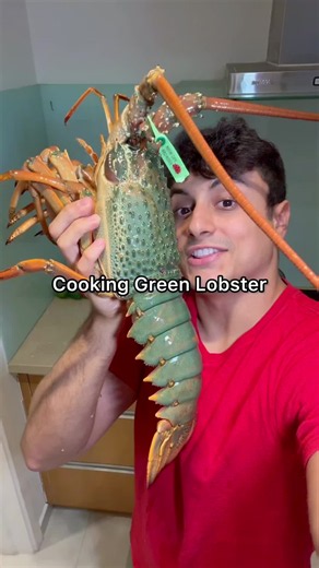 Easy Lobster Seafood Cooking Tips for Home Mukbangs