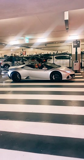 Epic Prank: Man Throws Diaper in Lamborghini! 😂