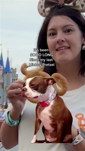 Missing Disney Lately ✨