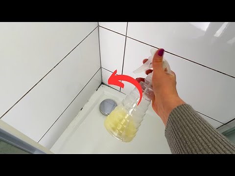 How to get rid of mold in the shower. Try this natural method