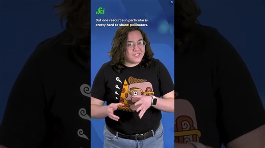 Rhododendrons solved sibling rivalry by taking turns #shorts #science #SciShow