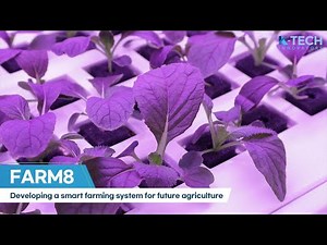 [K-Tech Innovators] Developing a smart farming system for future agriculture, “Farm8(팜에이트)”