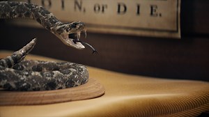 The Gadsden Flag | Iconic America