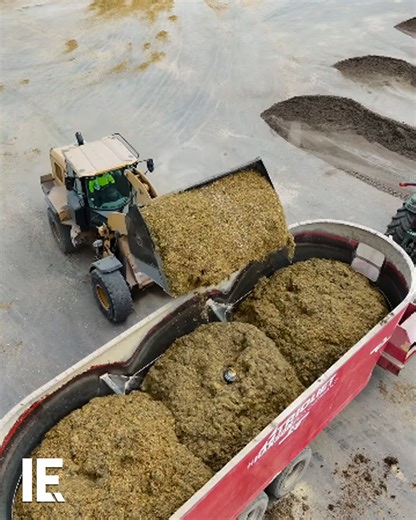 84K views · 245 reactions | This machine makes sure the cow feed doesn't clump up and evenly distributes them to the cows. : Instagram/ mangoloco1992 | Interesting Engineering | Facebook
