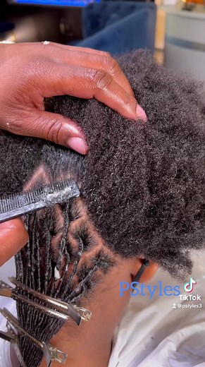 Starter Locs: Your Journey to Beautiful Loc Styles