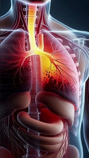 “Your Lungs on Smoking – Transparent 3D Animation”