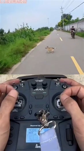 Drone Prank In Village Funny 🤣 || Drone Prank Gone Wrong 🤣 || #shorts #drone #prank #funny