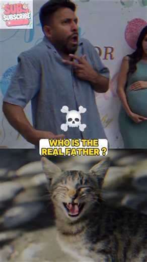 Gender Reveal⚫😂😂 #shorts #viralvideo #funny #cat