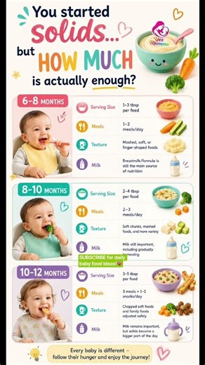How Much Should Your Baby Eat? 🍽️ 6–12 Month Solid Food Guide #shorts #shortvideo