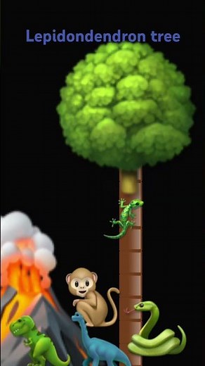 Lepidodendron tree meme