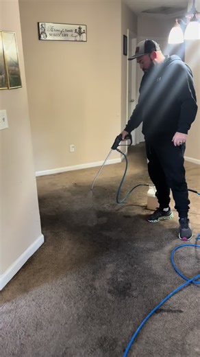 Factory Reset Your Carpets for a Fresh Start