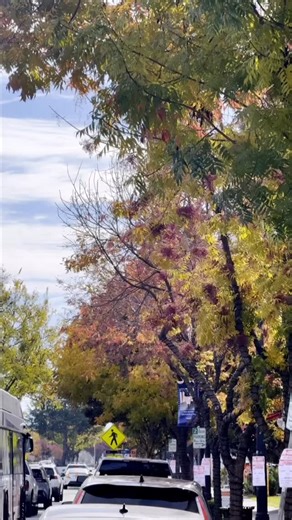 Information from The Weather Channel | CMAP TV