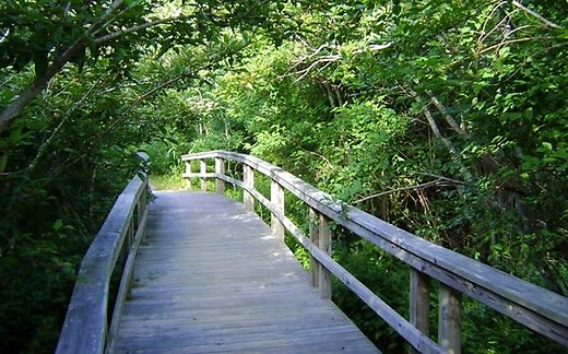 Hiking Trails in the Outer Banks of North Carolina