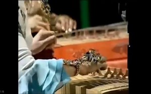 哈萨克民歌 agugay 阿古盖