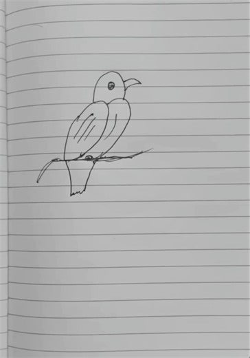 How to Draw a Bird Step by Step | Easy Bird Drawing for Beginners