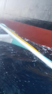 dollars swap skipjack | Master Fishing