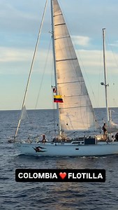 155K views · 86K reactions | That is the Colombian flag flying on one...