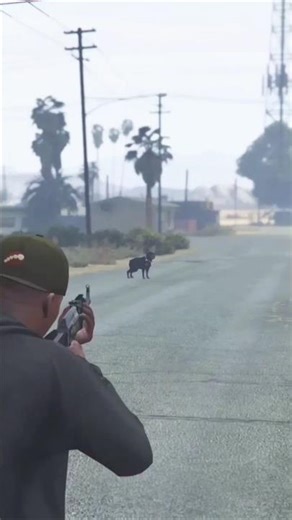 #Gta5 #Dogattack twice fir Franklin main use kutte ki maut mara..