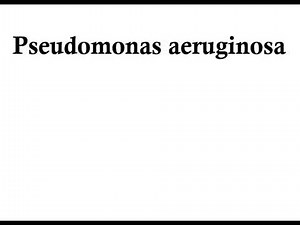 How to Pronounce Pseudomonas aeruginosa Correctly