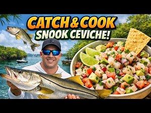 Beach Fishing Snook and Seabass: CATCH and COOK Fresh Ceviche Recipe!