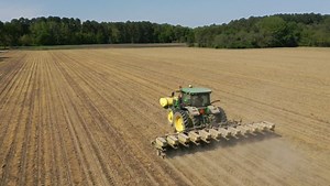 Using Corn to Your Advantage in Weed Control