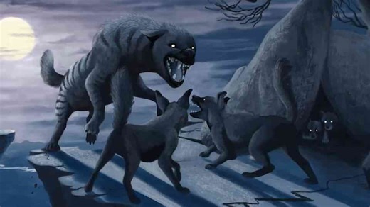 Ice Age predator Pachycrocuta and the fossils that rewrote hyena history