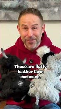 How You Can Support Fluffy Feather Farm 🐮❤️