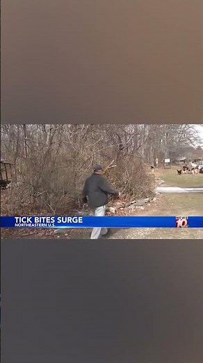 Northeast U.S. tick bites become severe in 2026, sources say