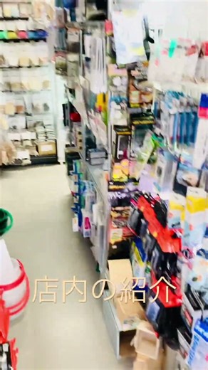 #ada #aquarium #아쿠아리움 #熱帯魚 #aquariumhobby #japan #aquariumlife #日本 #福岡 #爬虫類 #ハムスター #亀 #メダカ #金魚 #九州