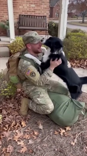 80K views · 1K reactions | Homecomings that make the world pause  | Aunty Acid | Facebook