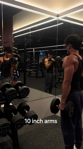 Transforma tus brazos: guía para inversiones