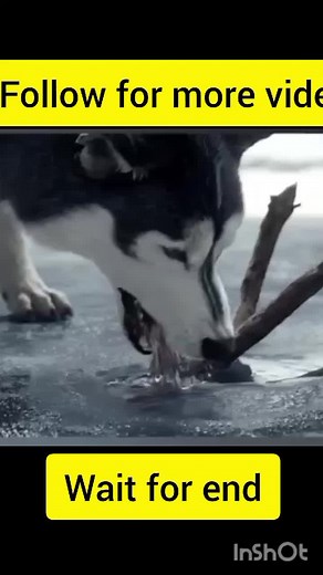 Understanding Film Endings: A Comprehensive Breakdown